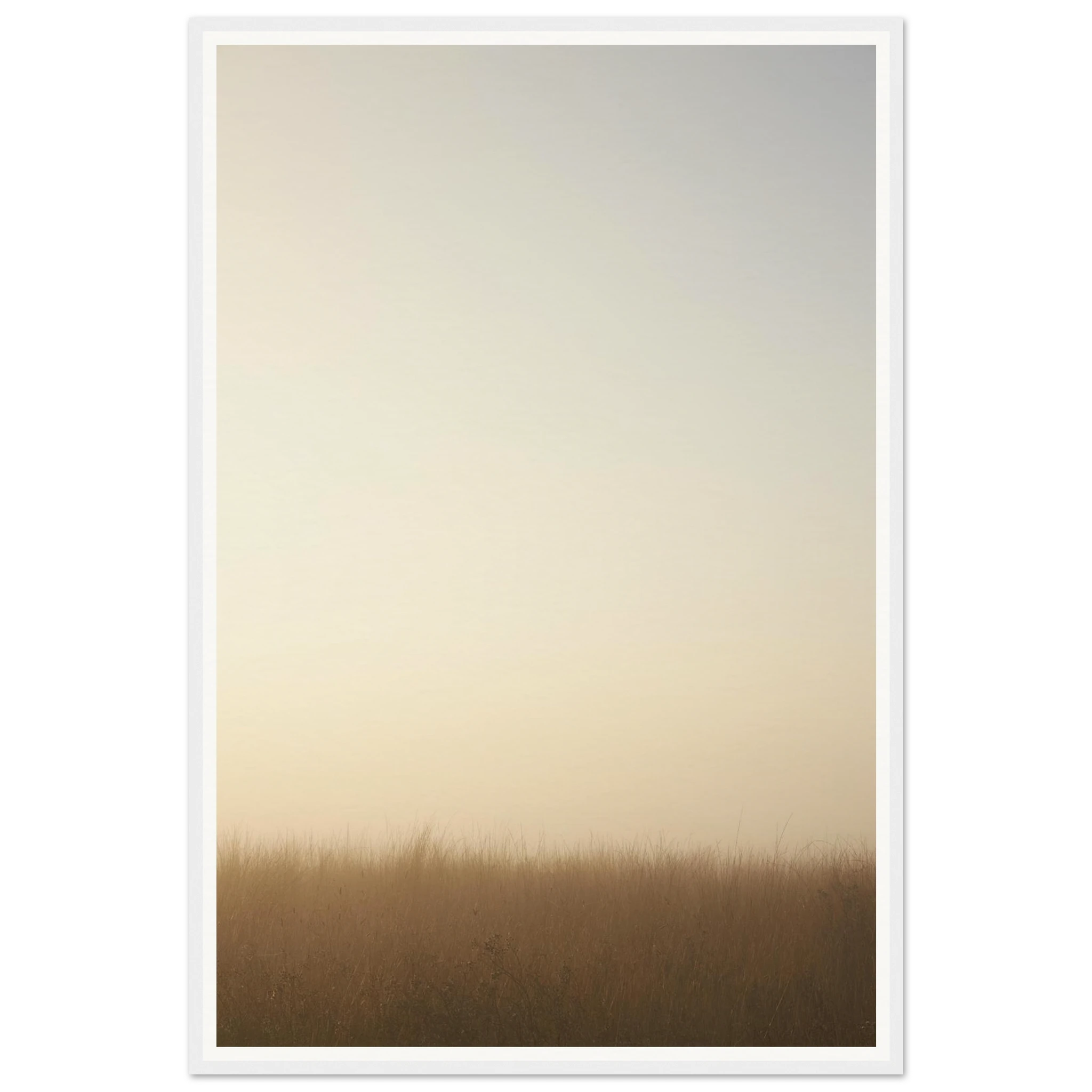 85c9aa36-e3dc-48e7-9277-e9a222c21385