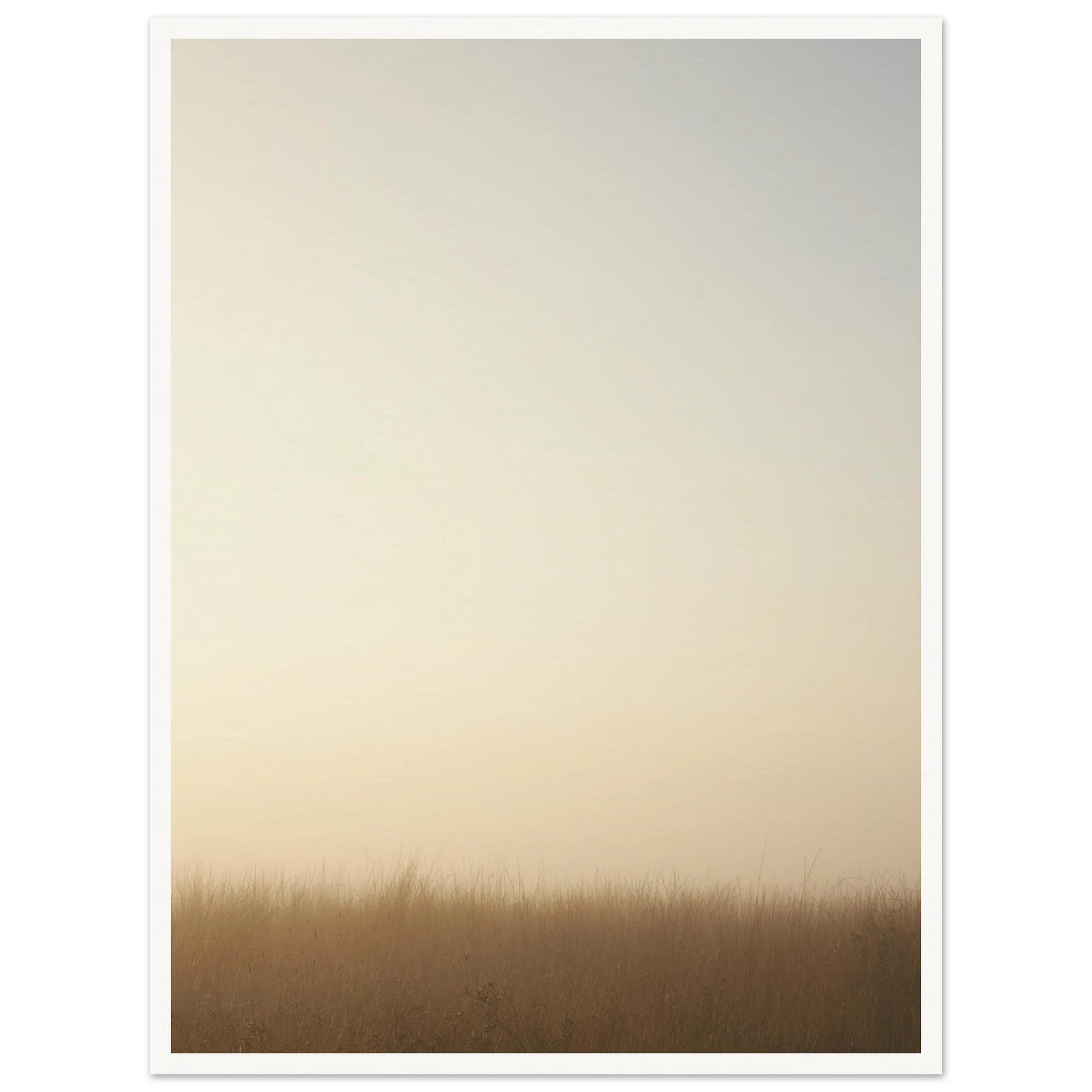 daa019d7-cda7-4b82-8bf6-4a3156cd761e