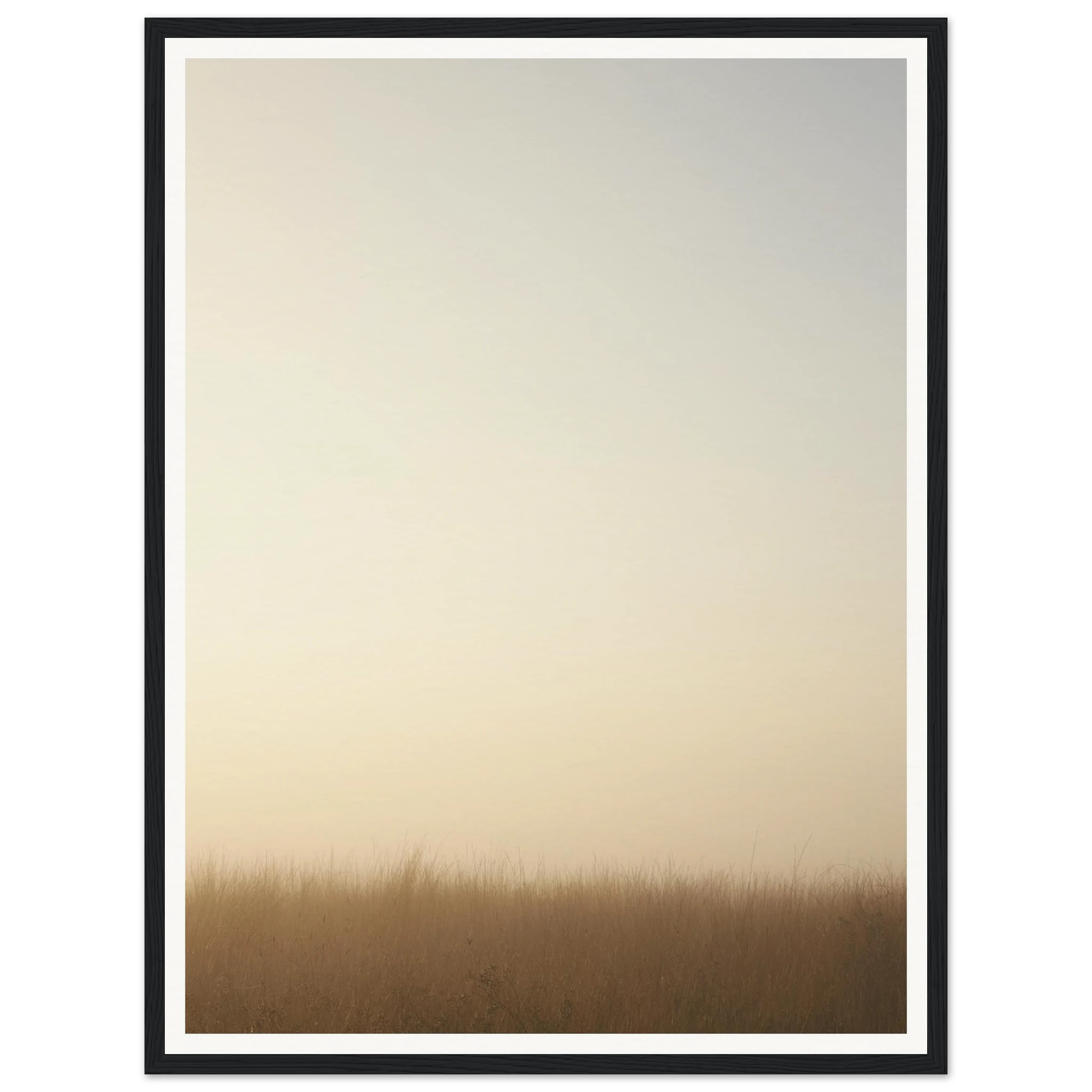 e50d3295-98e0-4cfd-b72f-19d5a09b23c5