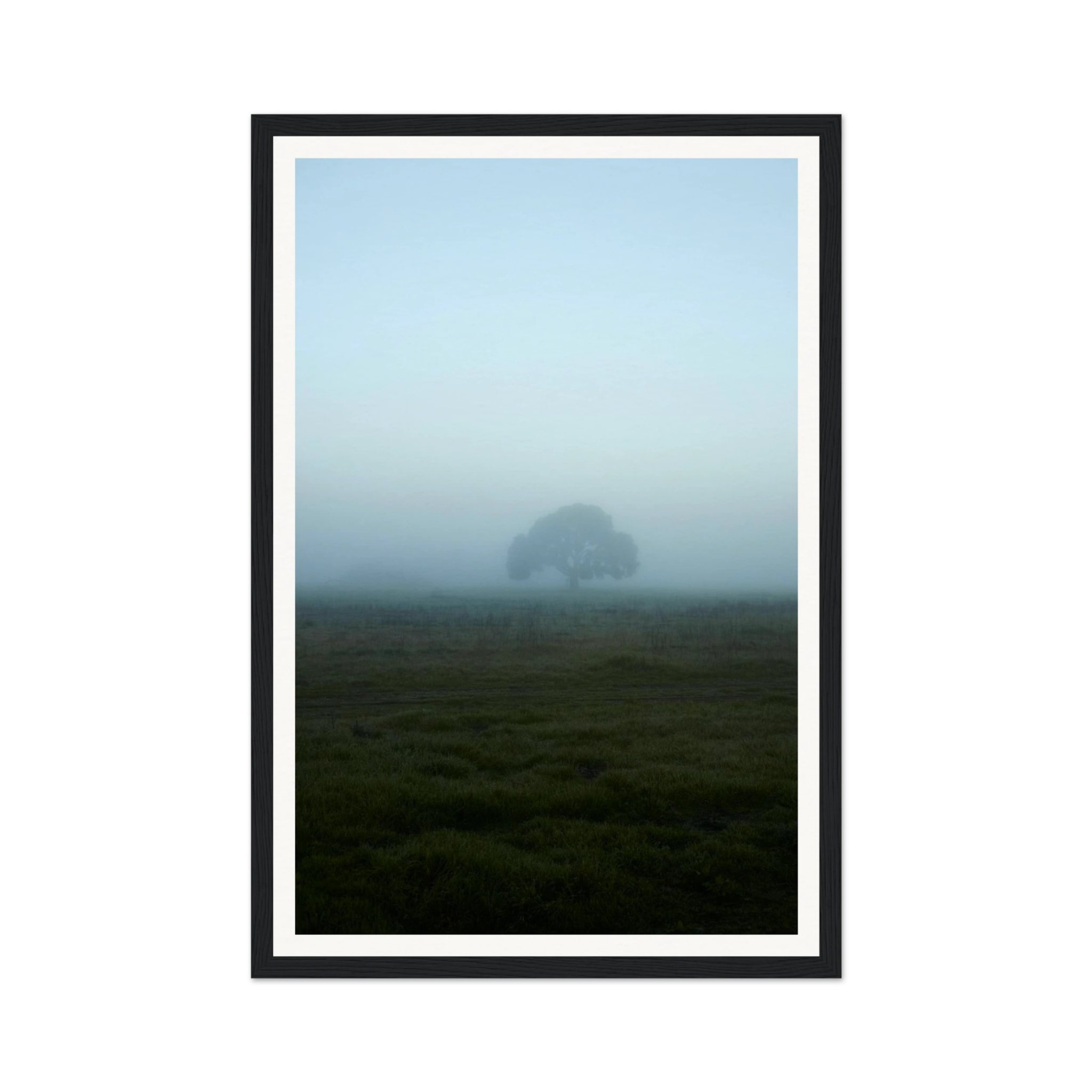 e52105f5-6924-405c-9719-22035ca91286